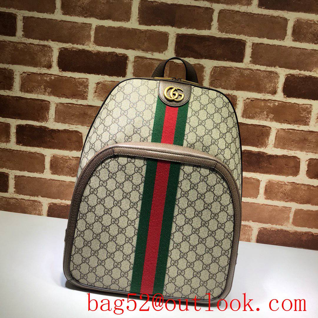 Gucci Ophidia GG men Medium Backpack Bag