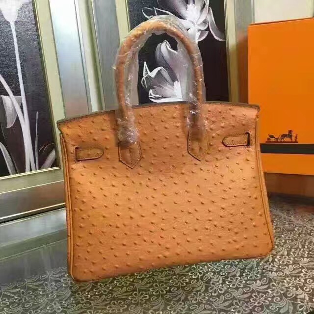 hermes orange ostrich birkin