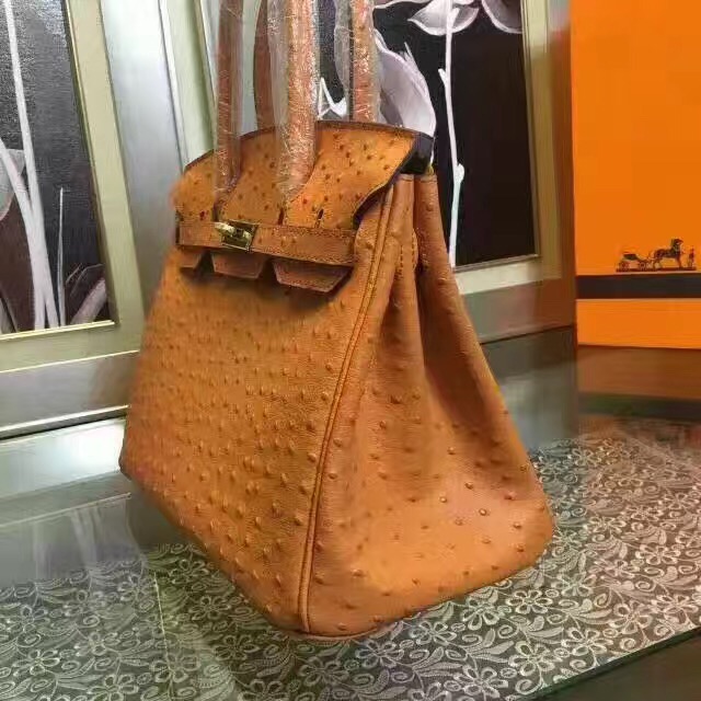 hermes orange ostrich birkin