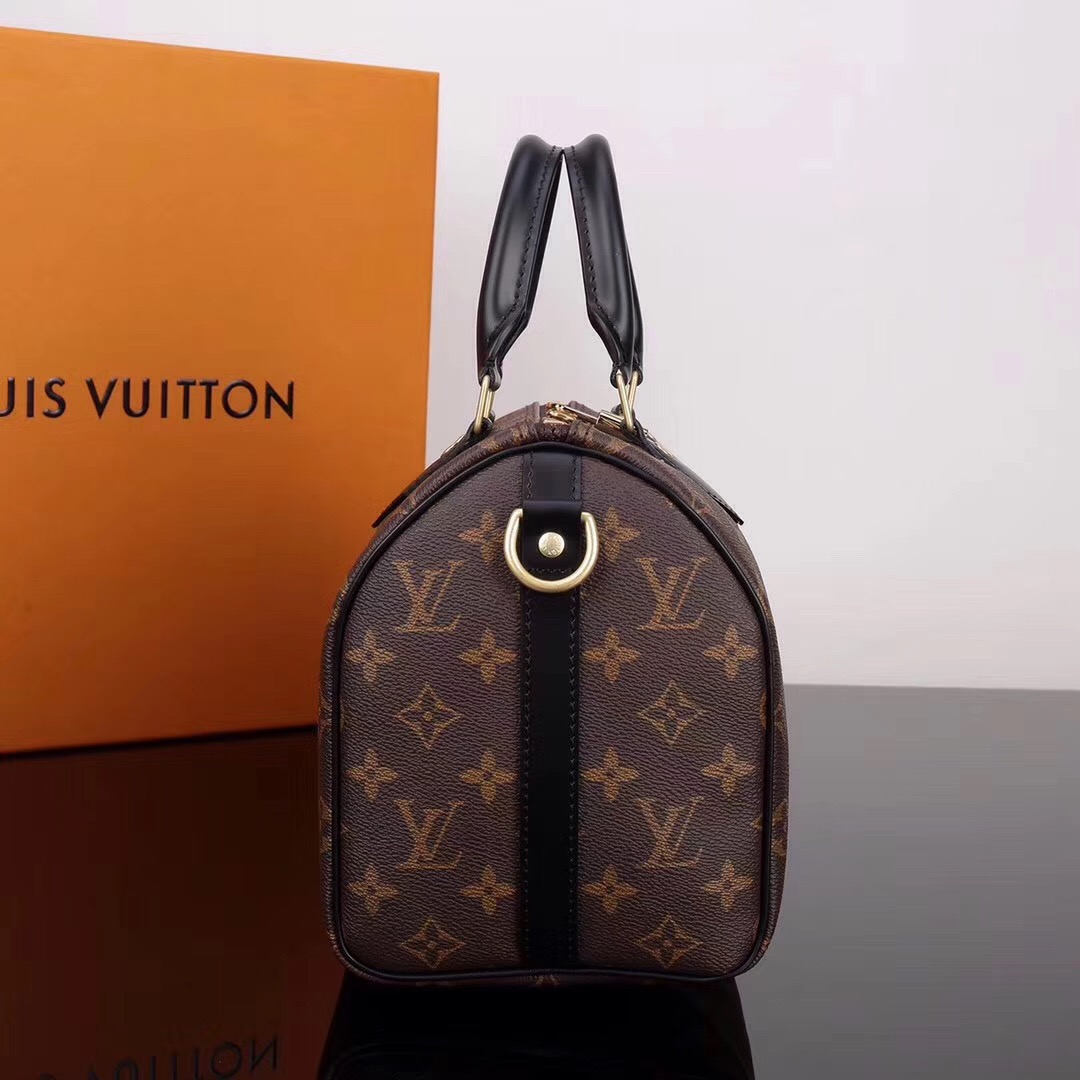 LV Louis Vuitton M48285 Speedy 25 Leather Monogram Handbags bags 25cm