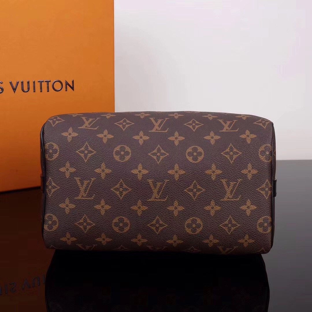 LV Louis Vuitton M48285 Speedy 25 Leather Monogram Handbags bags 25cm