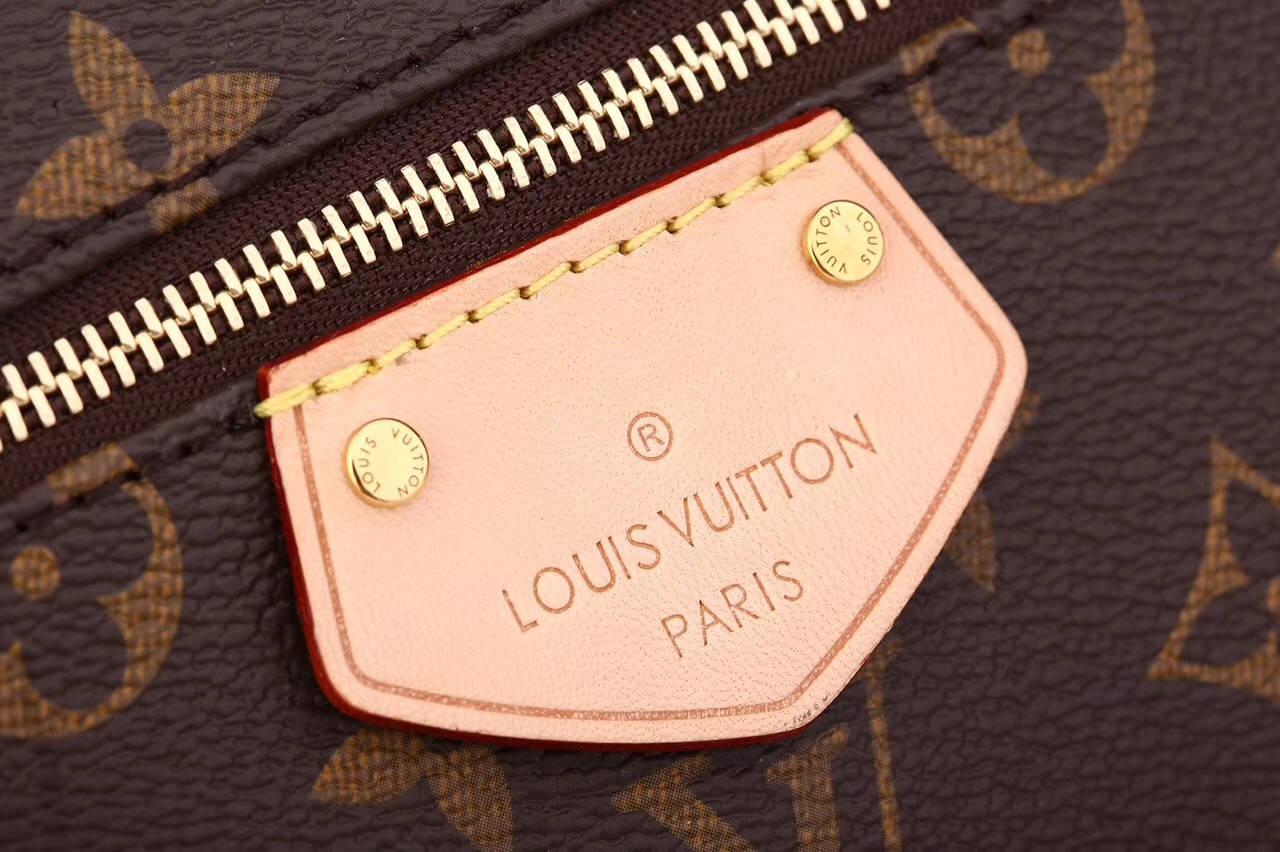 LV Louis Vuitton Iena Monogram Handbags M42268 bags Brown