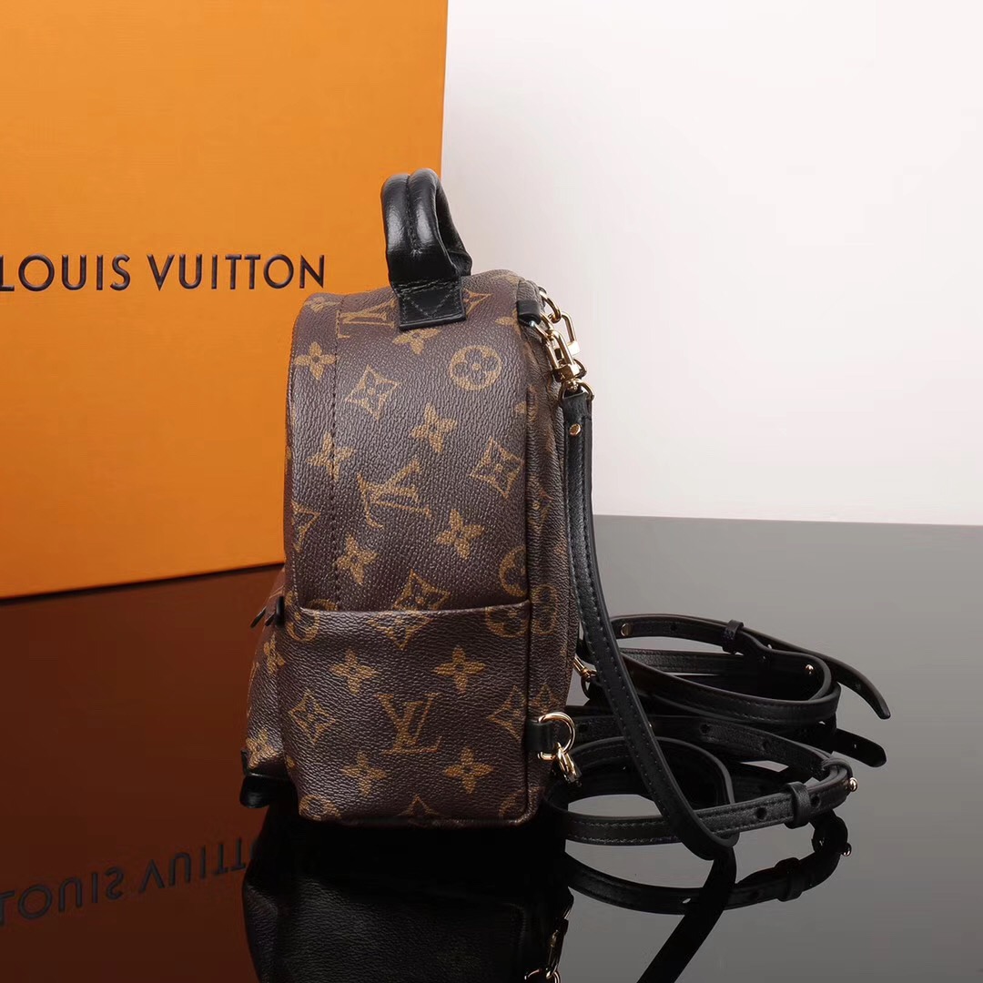 LV Louis Vuitton Monogram M41562 Backpack Mini bags Brown