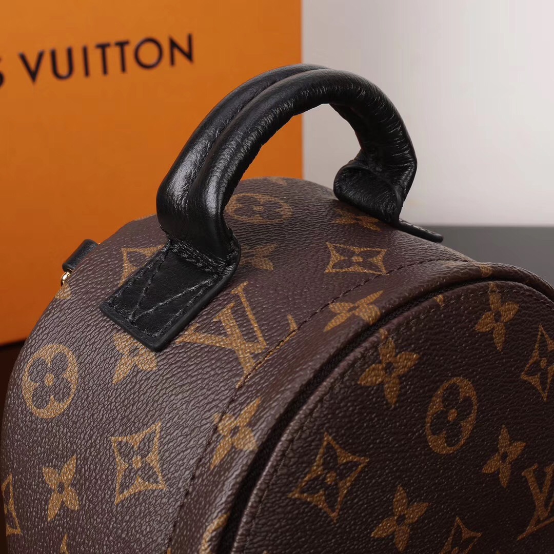 LV Louis Vuitton Monogram M41562 Backpack Mini bags Brown