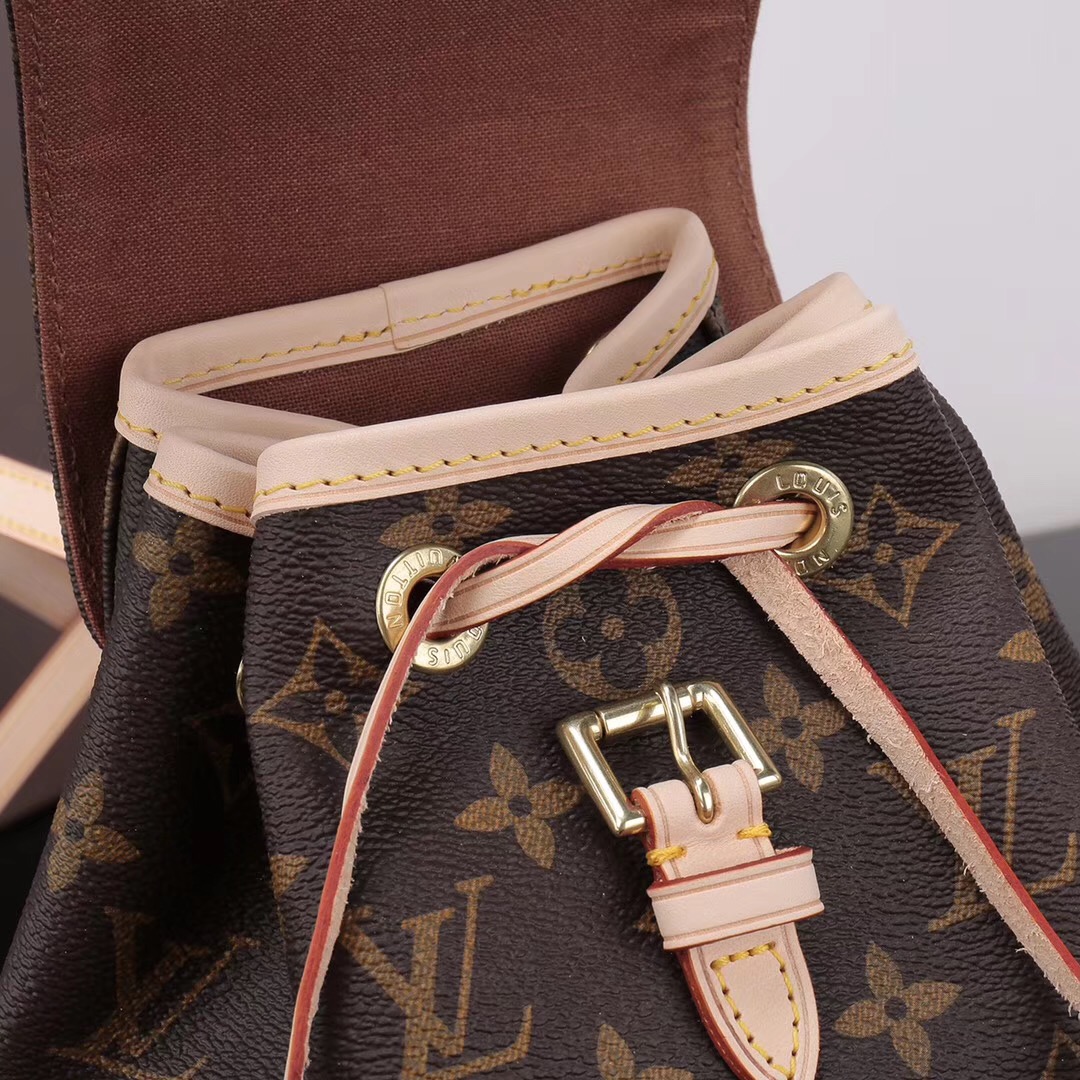 LV Louis Vuitton Monogram Montsouris bags Backpack M51137 Handbags Brown