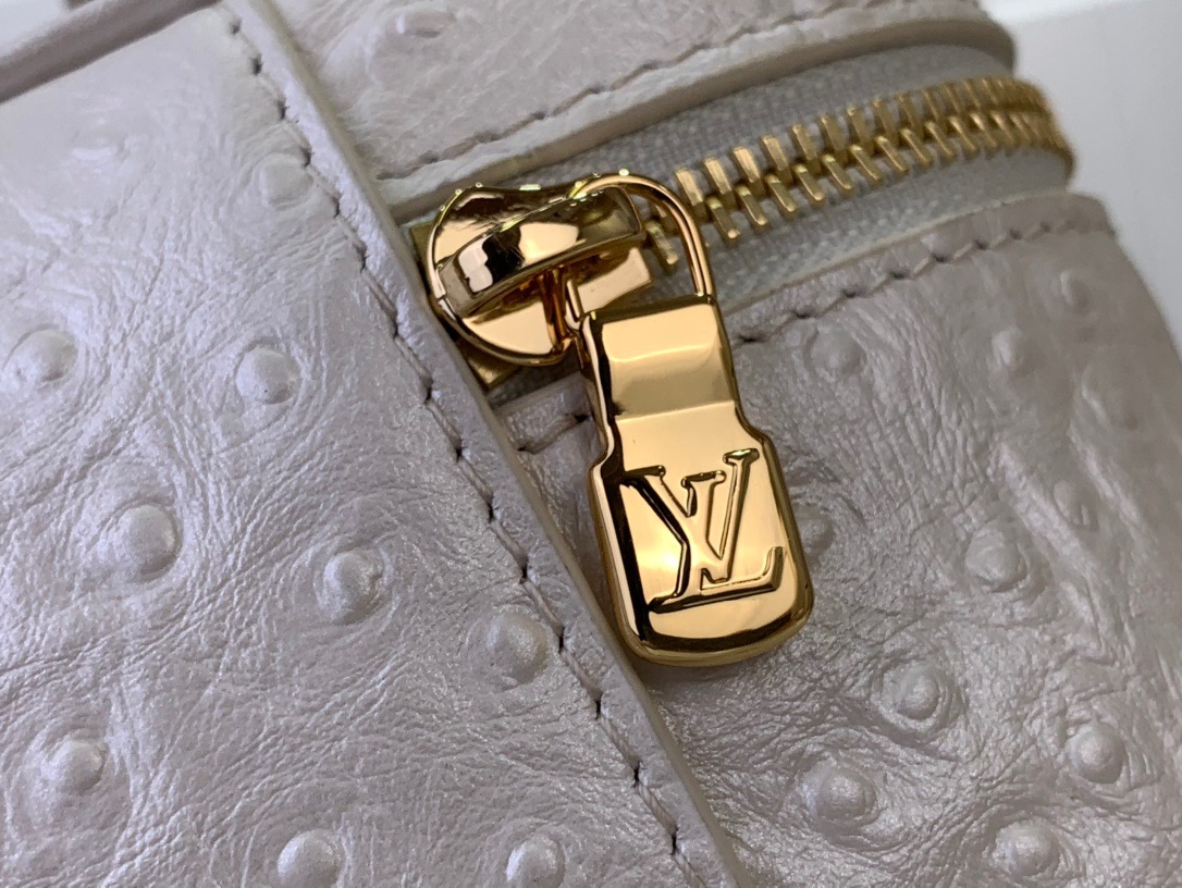 Louis Vuitton LV Vanity Chain Pouch Bag Handbag N85820 White