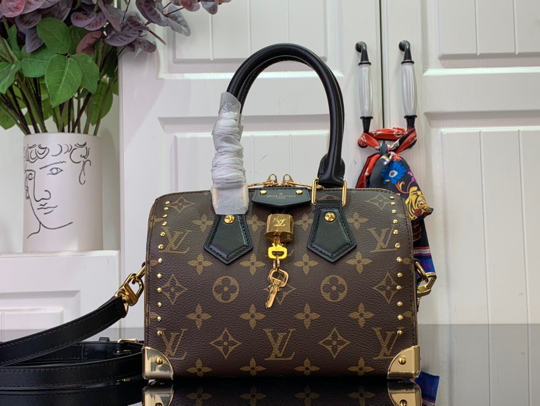 Louis Vuitton LV Monogram New Speedy 20 Bag Handbag M13146