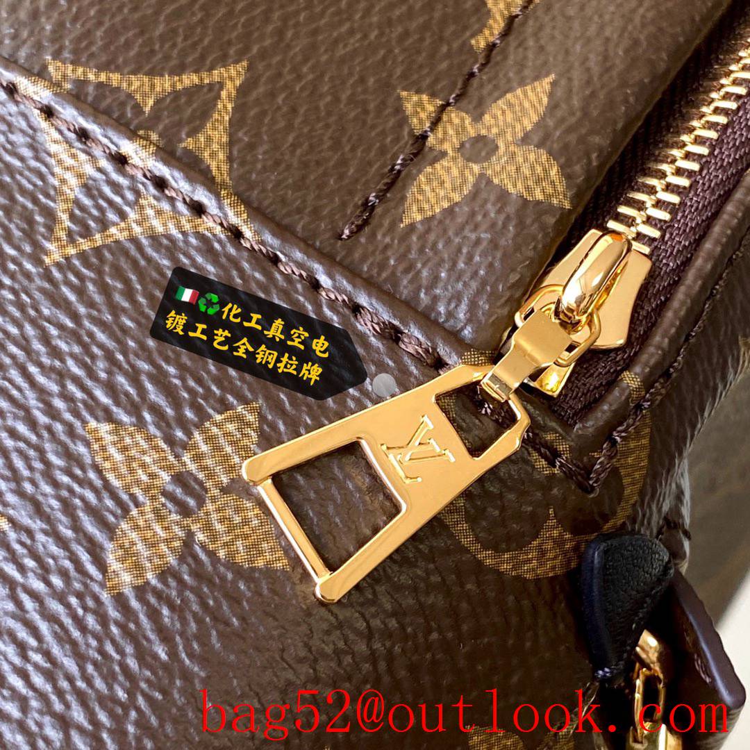 Louis Vuitton LV Monogram Palm Springs Mini Backpack Bag M44873 Brown