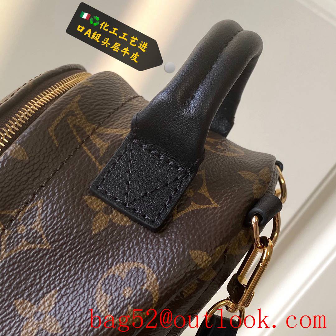 Louis Vuitton LV Monogram Palm Springs Mini Backpack Bag M44873 Brown