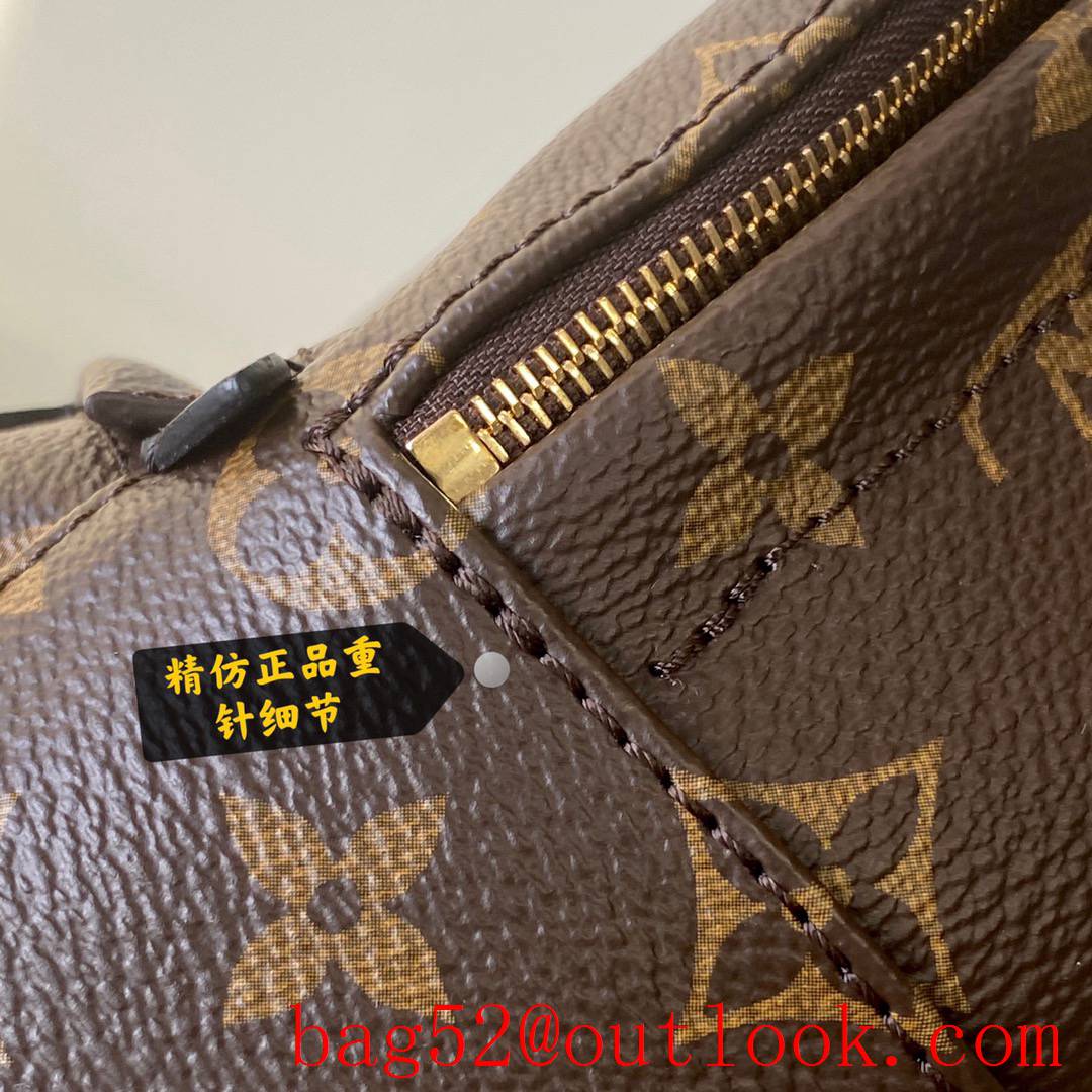 Louis Vuitton LV Monogram Palm Springs Mini Backpack Bag M44873 Brown