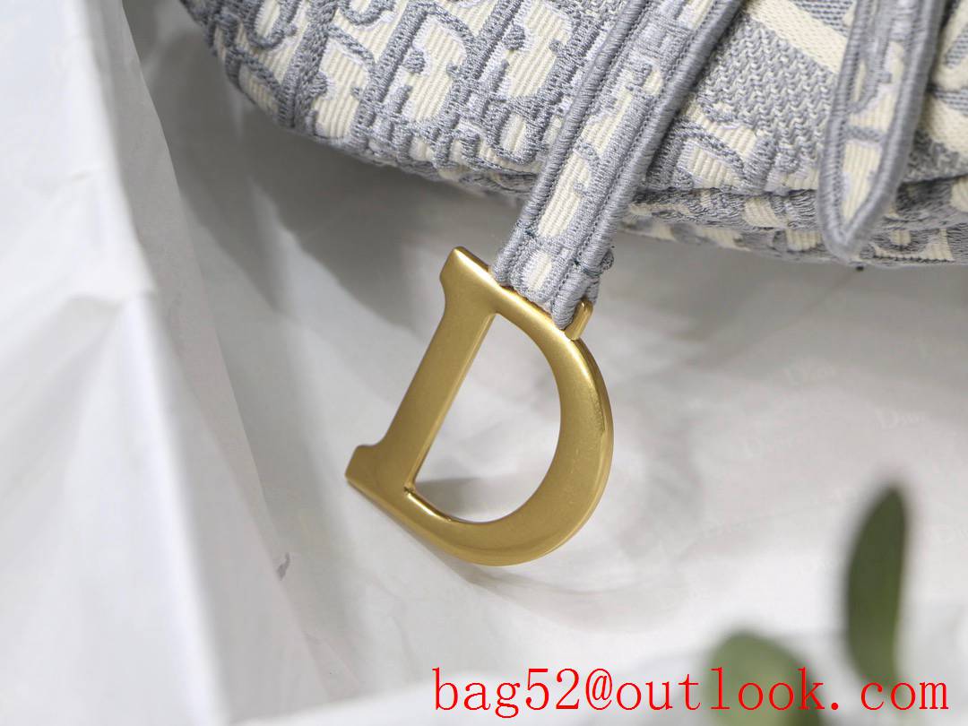 Dior bolique Anti-IT Bag CD metal logo white saddle bag