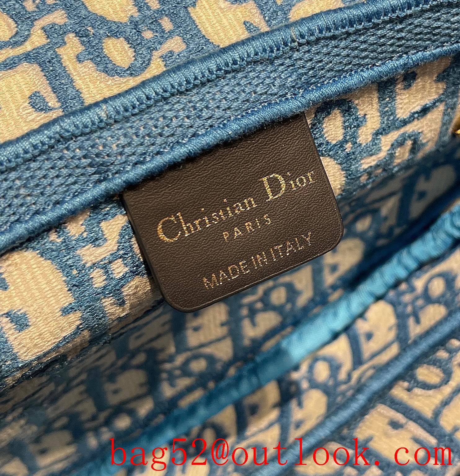 Dior sky blue medium full body logo metal CD shoulder crossbody oblique saddle Anti-IT flower handbag bag