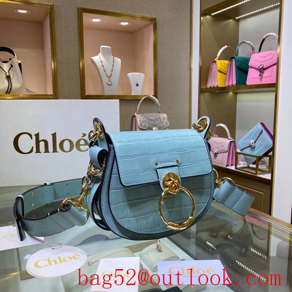 Chole pony embroidery calfskin medium light blue medium handbag