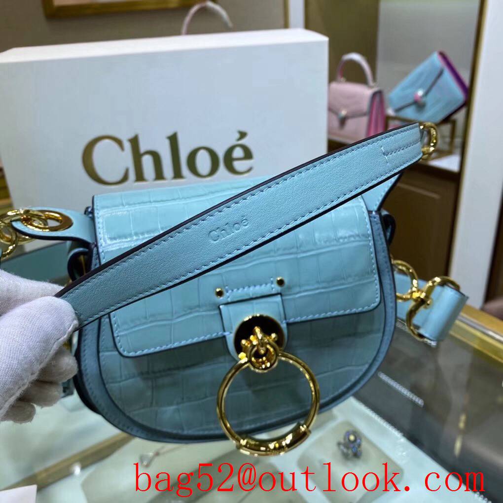 Chole pony embroidery calfskin medium light blue medium handbag