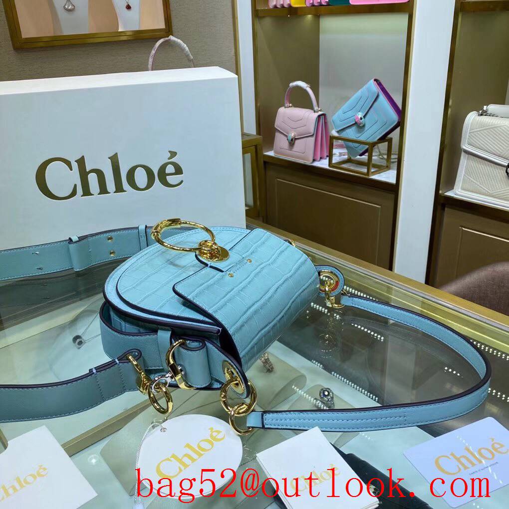 Chole pony embroidery calfskin medium light blue medium handbag