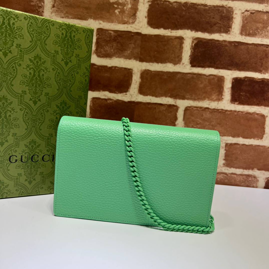 Gucci GG Marmont Light Green Leather Chain 497985 Bag
