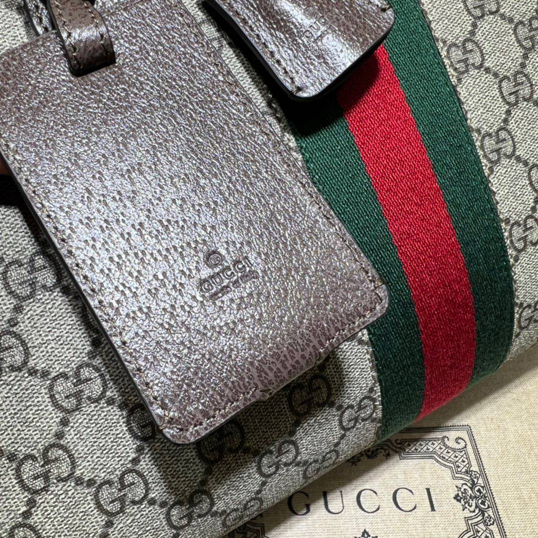 Gucci Gucci Savoy Beige&Ebony GG Supreme Canvas Medium Handle 723309 Bag