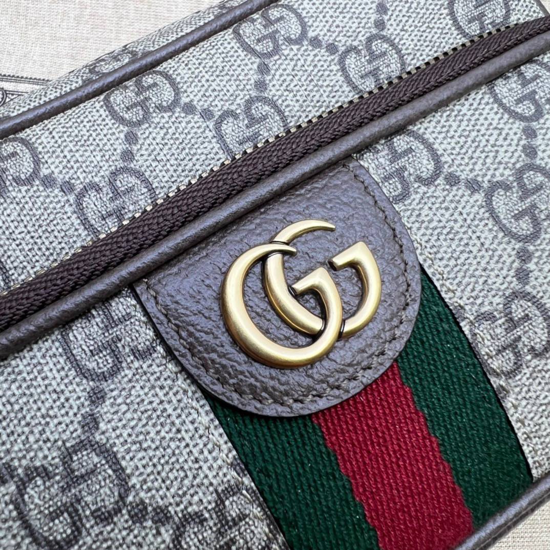 Gucci Ophidia Brown Mini Handle 722557 Bag