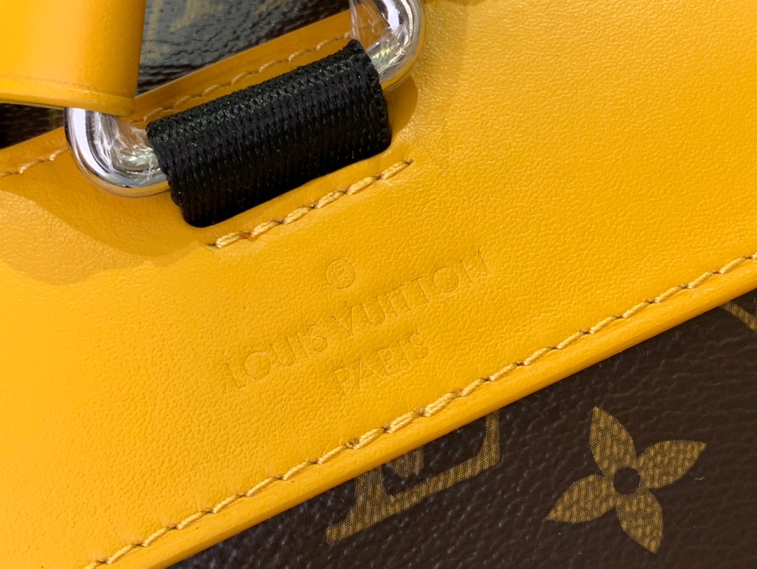 Louis Vuitton LV Men Christopher MM Backpack Bag M13202 Yellow